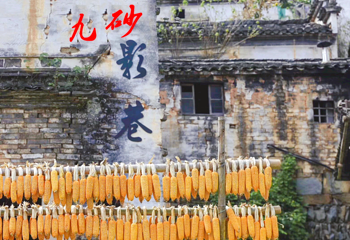 新安江山水画廊第 6 张图片