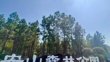 安山森林公园第 1 张图片