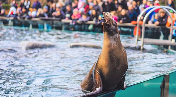 中央公园动物园