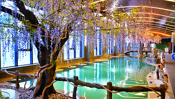 长白山聚龙火山温泉