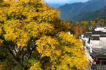 塔川第 27 张图片