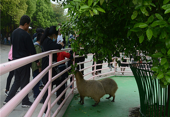 西山岛开心农场第 52 张图片