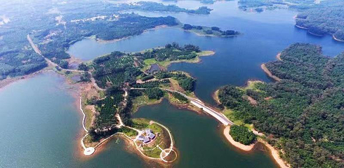 南丽湖醉花岛湿地文化旅游区第 10 张图片
