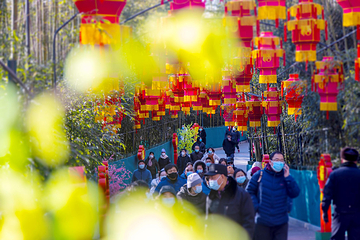 红螺寺第 40 张图片