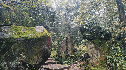 洞山景区第 2 张图片