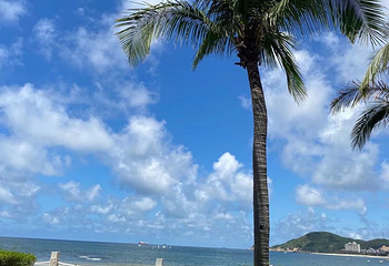 海陵岛第 43 张图片