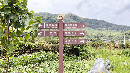 仙潭村景区第 6 张图片
