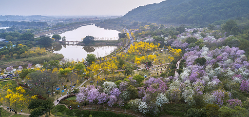 西樵山风景名胜区第 34 张图片