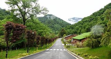 甲勿海·熊猫园景区