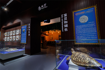 贝壳王国第 16 张图片