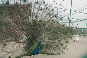 兴芮农业乐园第 17 张图片