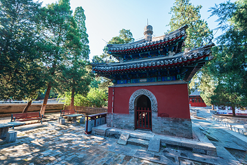 大觉寺第 9 张图片