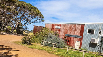 克利福德蜂蜜农场