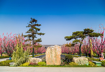 潘安湖国家湿地公园第 79 张图片