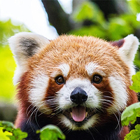 怀化野生动植物园