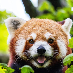 怀化野生动植物园