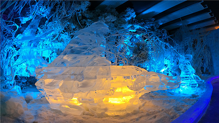 台儿庄梦幻冰雪大世界第 1 张图片