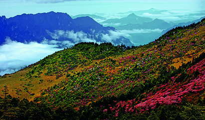 神农顶风景区第 39 张图片