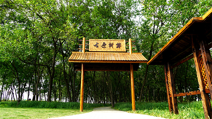 扬州凤凰岛国家湿地公园第 28 张图片