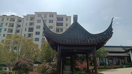 南湖湿地公园第 1 张图片
