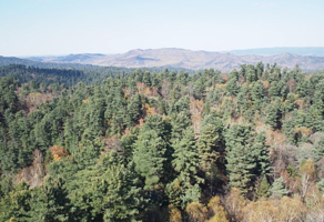 丰林国家级自然保护区