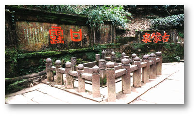 蒙顶山第 108 张图片