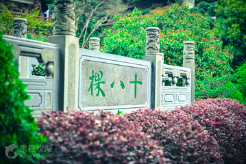 龙井问茶第 4 张图片
