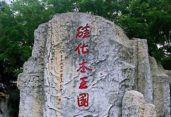 本溪水洞景区-古生物硅化园第 1 张图片