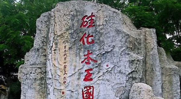 本溪水洞景区-古生物硅化园