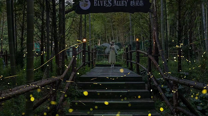 ELVES ALLEY精灵巷第 1 张图片