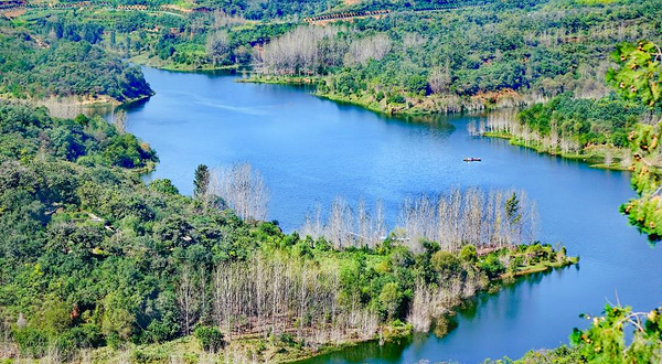 孟津黄河湿地自然保护区