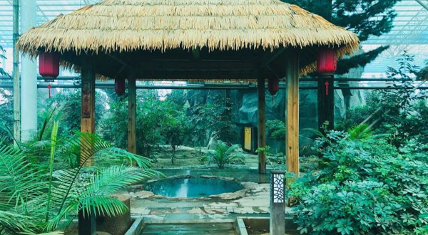 泥河湾生态城酒店