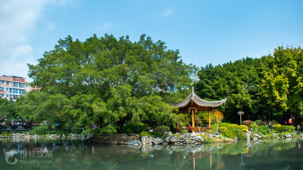 左海公园第 4 张图片