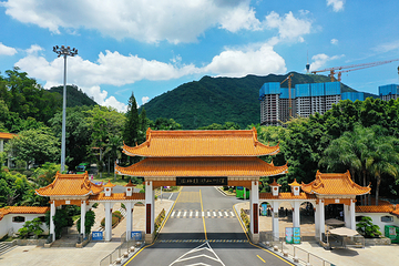 仙湖植物园第 4 张图片