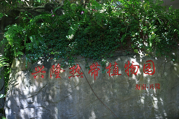 兴隆热带植物园第 67 张图片