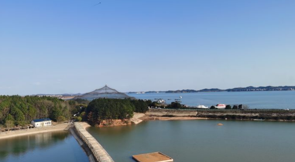 鄱阳湖白沙洲湿地景区