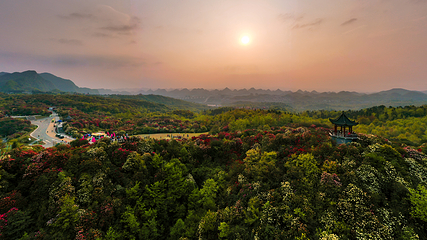 百里杜鹃风景区第 40 张图片