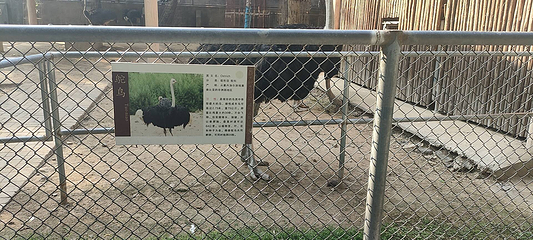 王城公园第 22 张图片