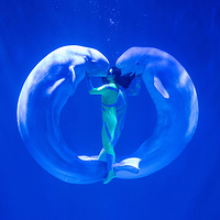 哈尔滨极地公园·极地馆