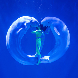 哈尔滨极地公园·极地馆