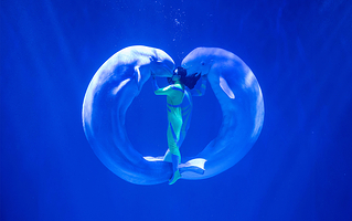 哈尔滨极地公园·极地馆