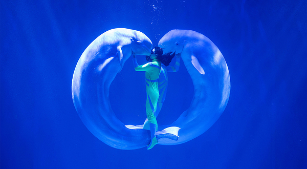 哈尔滨极地公园·极地馆