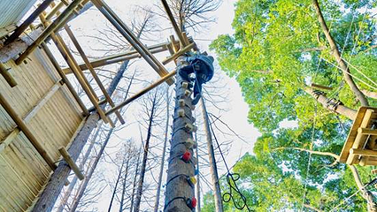 TREE TO TREE萃萃树探险乐园第 9 张图片