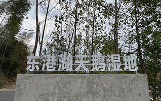 赤壁东港湖天鹅湿地