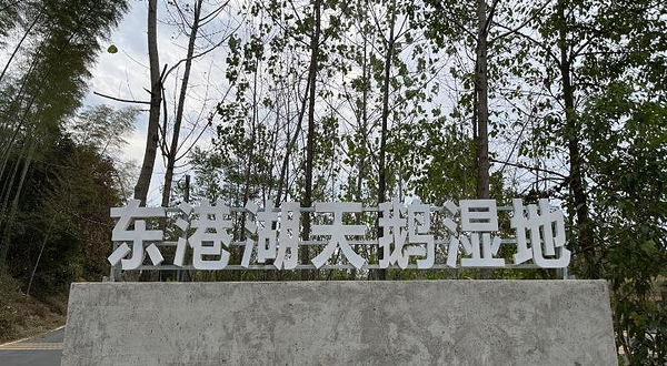 赤壁东港湖天鹅湿地