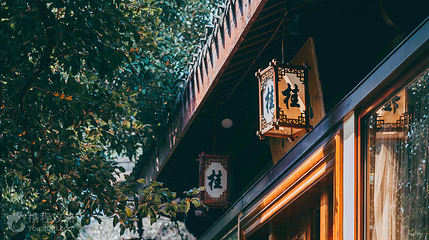 满觉陇村第 2 张图片