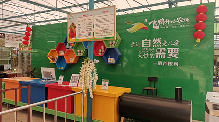 麻涌飞鸭开心农场第 1 张图片
