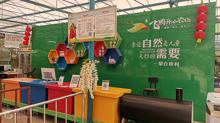 麻涌飞鸭开心农场第 10 张图片