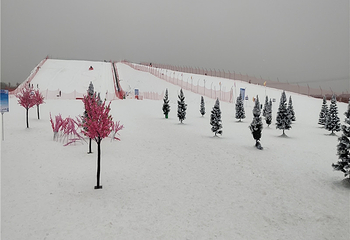 红海·七星雪滑雪场第 9 张图片