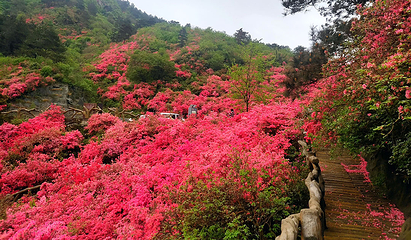 木兰云雾山第 23 张图片